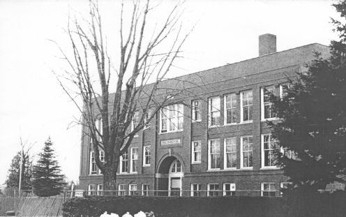 Pigeon school Historical photo Michigan History