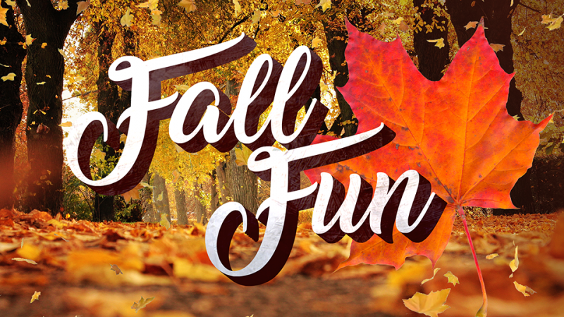fall fun fall fun
