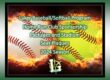 baseball and softball sponsorship packages and plaques
