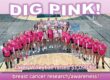 dig pink raises $1090